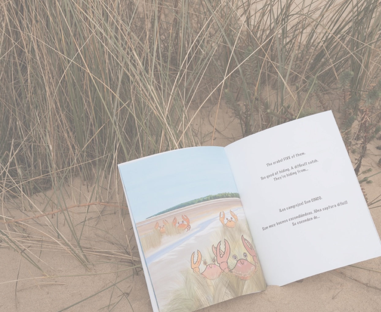 (WPTLOB_Image 1_Reduced
Brightness